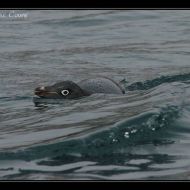 IMG 9483