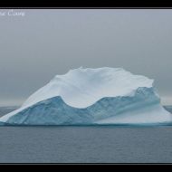IMG 9503