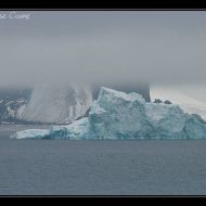IMG 9504