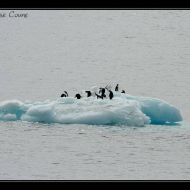 IMG 9540