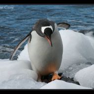 IMG 9609