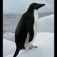 IMG 9659
