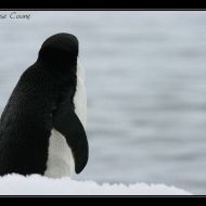 IMG 9684