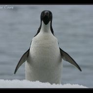IMG 9689