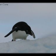 IMG 9752