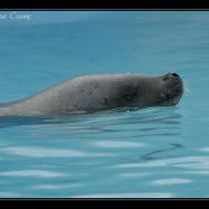 IMG 9762
