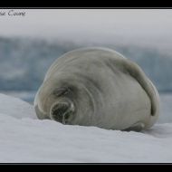 IMG 9764