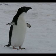 IMG 9765