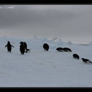 IMG 9767