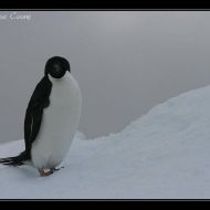 IMG 9768