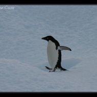IMG 9773