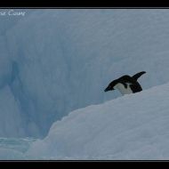 IMG 9774