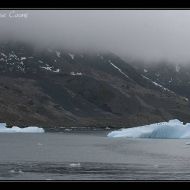 IMG 9780
