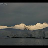 IMG 0095