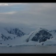 IMG 0097