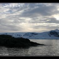 IMG 0108