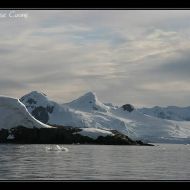 IMG 0169
