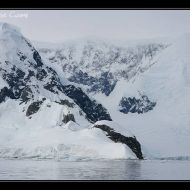 IMG 0308