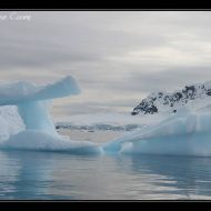 IMG 0324