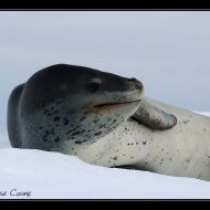 IMG 0374