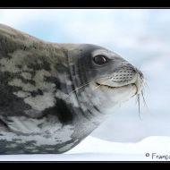 IMG 0437