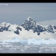 IMG 0481