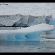 IMG 0485