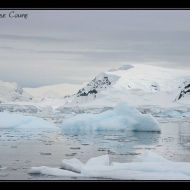 IMG 0502