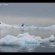 IMG 0507