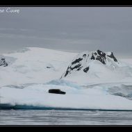 IMG 0512