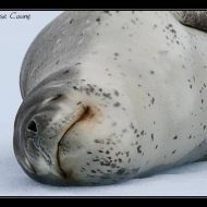 IMG 0515