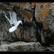 IMG 0567