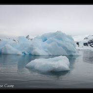 IMG 0581