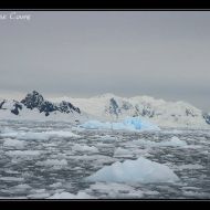 IMG 0590