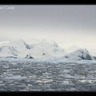 IMG 0603