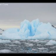 IMG 0606