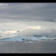 IMG 9342