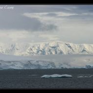 IMG 9615