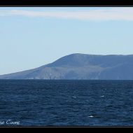 IMG 9722