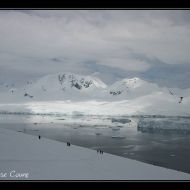 IMG 9444