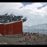 IMG 9463
