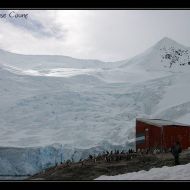 IMG 9471