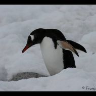 IMG 9476