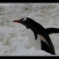 IMG 9477