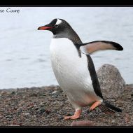 IMG 9529