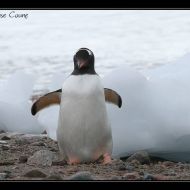 IMG 9541