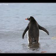 IMG 9551