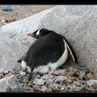 IMG 9576
