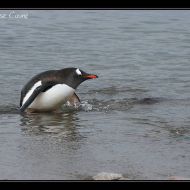 IMG 9588