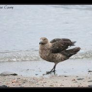 IMG 9591